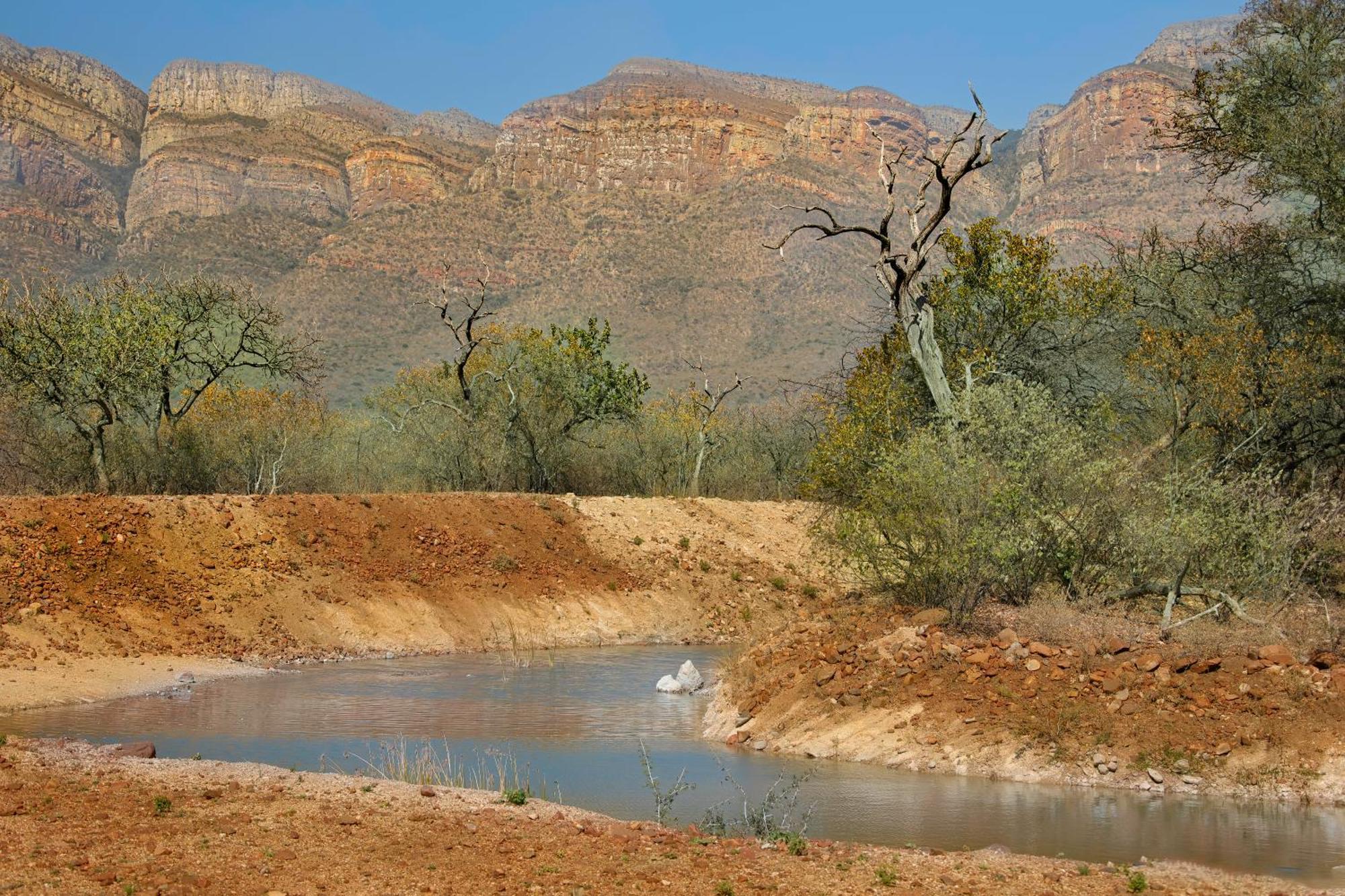 African Dream Tour Hoedspruit Exteriör bild